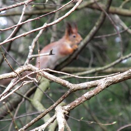 ���������, 30 ������ 2016