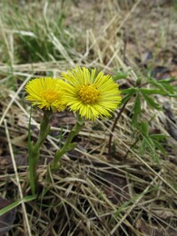 ���������, 30 ������ 2016