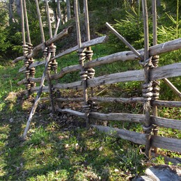 ���������, 7 ��� 2016