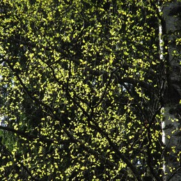 ���������, 7 ��� 2016