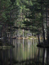 ���������, 7 ��� 2016