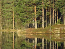 ���������, 8 ��� 2016