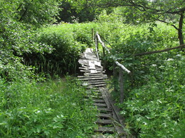 �����������, 18 ���� 2016