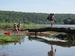 ���� ���, �����������, 19 ���� 2016