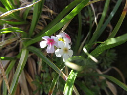 �����, �����������, 28 ���� 2016