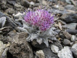 �����, �����������, 30 ���� 2016