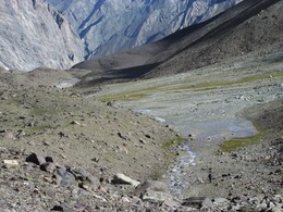 ������ ���� ��������, �����, �����������, 1 ������� 2016