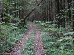 �����������, 17 �������� 2016