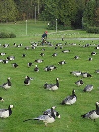 ���� � �����, ���������, 25 �������� 2016