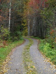 ���������, 1 ������� 2016