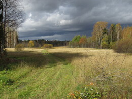 ���������, 1 ������� 2016