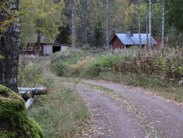 ���������, 1 ������� 2016