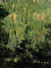 ���� Repovesi, ���������, 2 ������� 2016