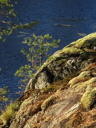 ���������, 8 ������� 2016