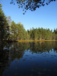 ���������, 8 ������� 2016