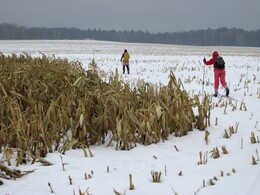 �����������, 19 ������ 2016