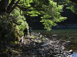 ���� �� ������ ����� Palena. ����, 14 ������ 2017