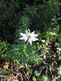 ����������� ������. ����, 14 ������ 201