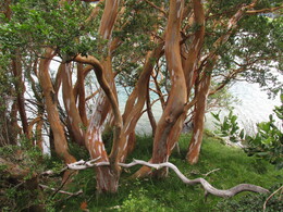 ��������� ����. ����, 18 ������ 2017