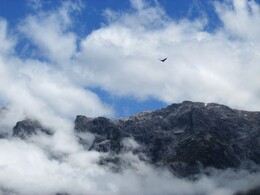 ������. ����, 19 ������ 2017