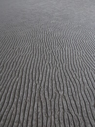 �������� ������. ����, 21 ������ 2017