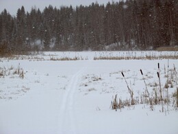 ���������, 26 ������� 2017