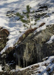 ���������, 5 ����� 2017