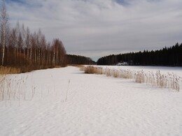 ���������, 12 ����� 2017