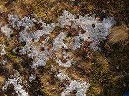 ���������, 12 ����� 2017