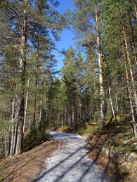 ���������, 19 ����� 2017