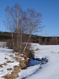 ���������, 19 ����� 2017