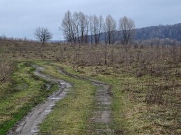 ����� �� �������� � ��������, 8 ������ 2017