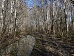 ����� �� �������� � ��������, 9 ������ 2017