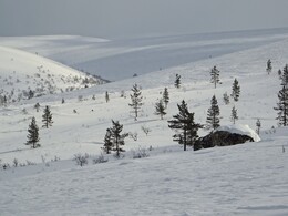 ����� � ��������� (Saariselk&auml; - Vuotso), 15 ������ 2017