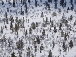 ����� � ��������� (Saariselk&auml; - Vuotso), 15 ������ 2017