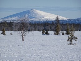 ����� � ��������� (Saariselk&auml; - Vuotso), 17 ������ 2017