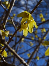 ����� �� Karjaa � �������� Raseborg, ���������, 7 ��� 2017