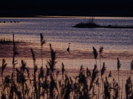 Espoo, ���������, 23 ��� 2017