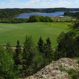 ���������, 6 ���� 2017