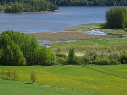 ���������, 6 ���� 2017