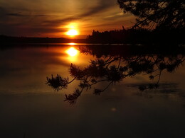 �����, ���������, 10 ���� 2017