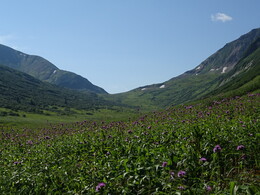 �������� ���� ��������, �����, 28 ���� 2017