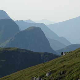 ������� ���������, �����, 28 ���� 2017