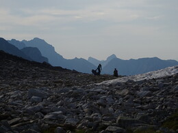 ������� ���������, �����, 29 ���� 2017