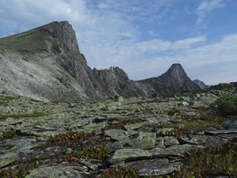 ������� ���������, �����, 29 ���� 2017