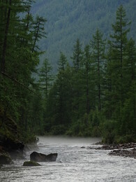 �������� ���� ������, �����, 6 ������� 2017