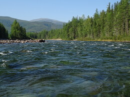 ���� ������, �����, 8 ������� 2017