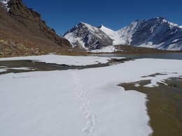 �������� �����, 5 ������� 2017