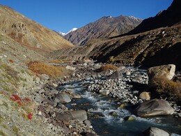 �������� �����, 7 ������� 2017