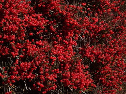 ������, �������� �����, 10 ������� 2017